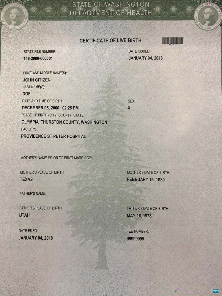 Download United States Department of Health St Peter hospital birth certificate Photoshop template